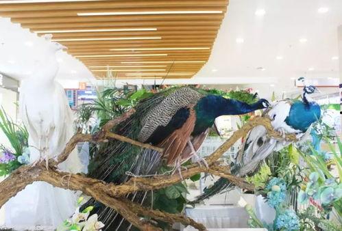 郑州公司吃瓜娱乐,吃瓜娱乐背后的职场生态探秘 第2张 郑州公司吃瓜娱乐,吃瓜娱乐背后的职场生态探秘 第2张